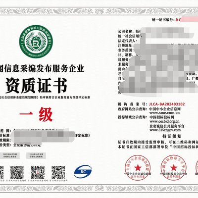 2024年互联网新闻信息服务企业资质（一级）与信息技术咨询服务 行业标准、价值与战略协同